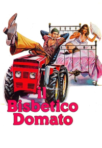 Il bisbetico domato