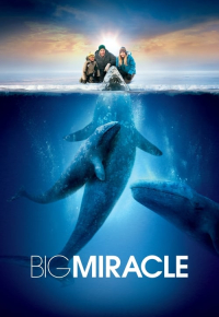 Big Miracle