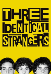 Three Identical Strangers