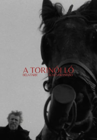 A torinói ló