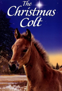 The Christmas Colt