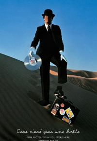 Pink Floyd: Wish You Were Here (Immersion Box Set)