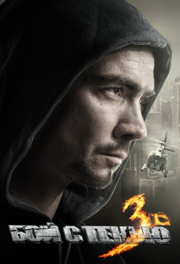 Бой с тенью 3: Последний раунд