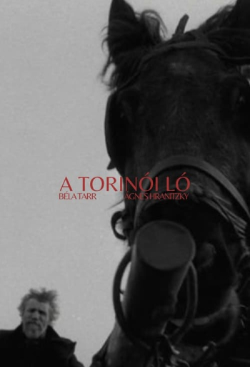 A torinói ló