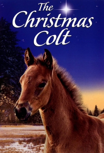 The Christmas Colt