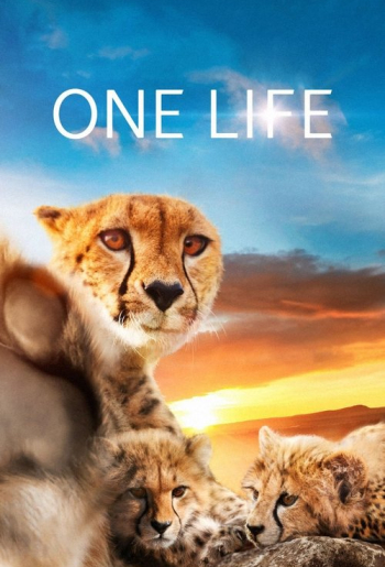 One Life