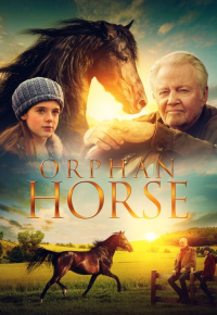 Orphan Horse