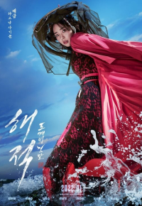 해적: 도깨비 깃발