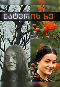Древо желания