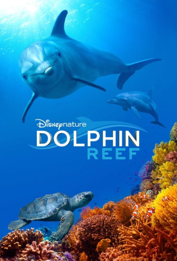 Dolphin Reef